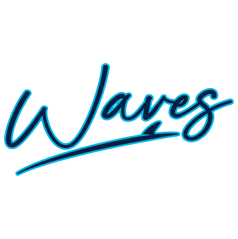 Waves WP Foundation