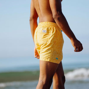 Men's Beach Shorts Coco De Mer