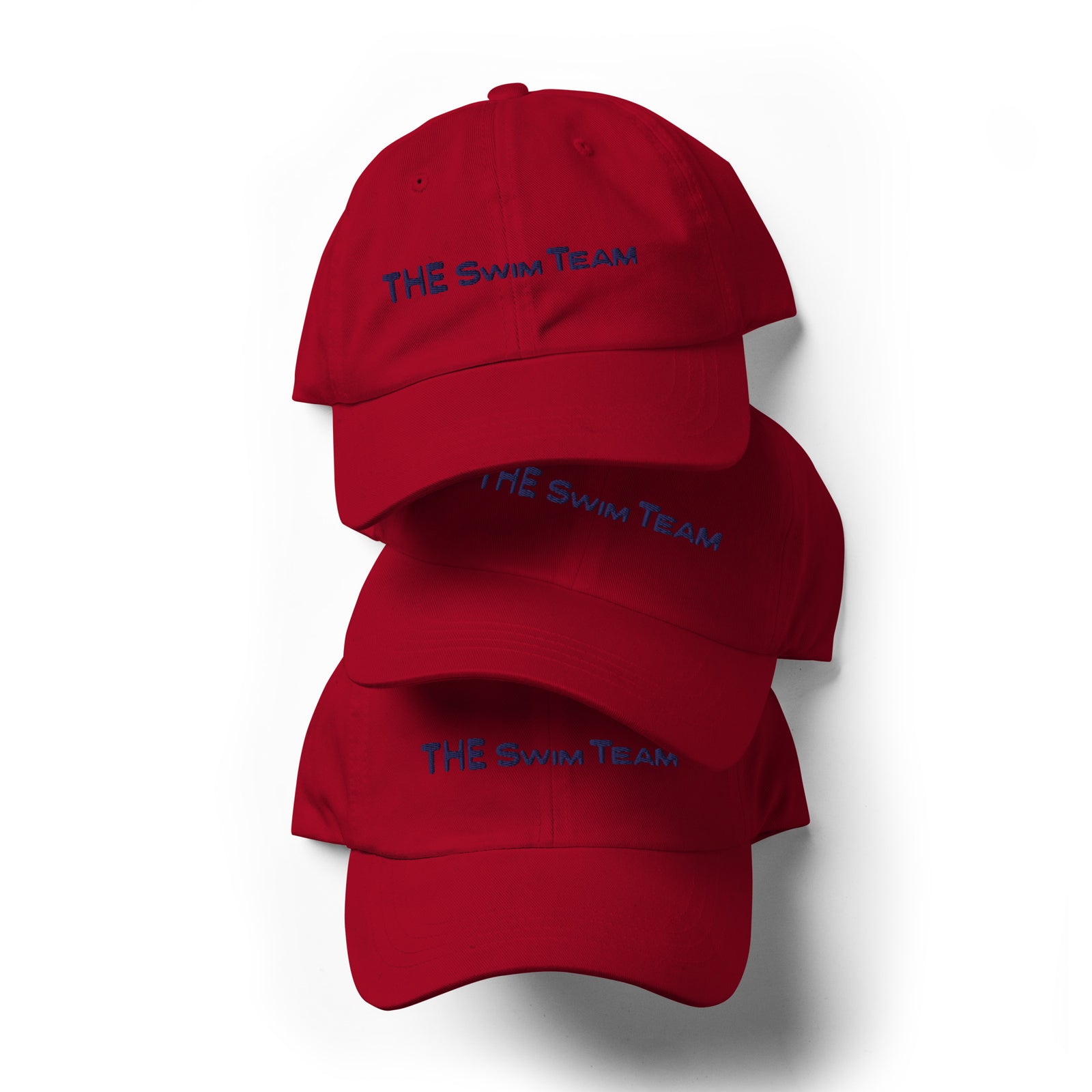 THE SWIM TEAM_ DAD HAT V2