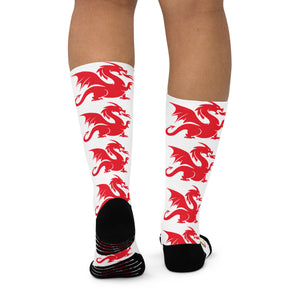 Narrows WPC Basketball socks