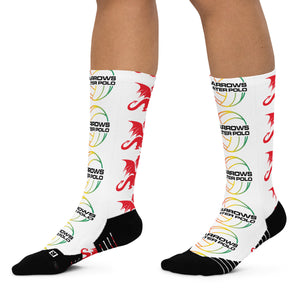 Narrows WPC Basketball socks