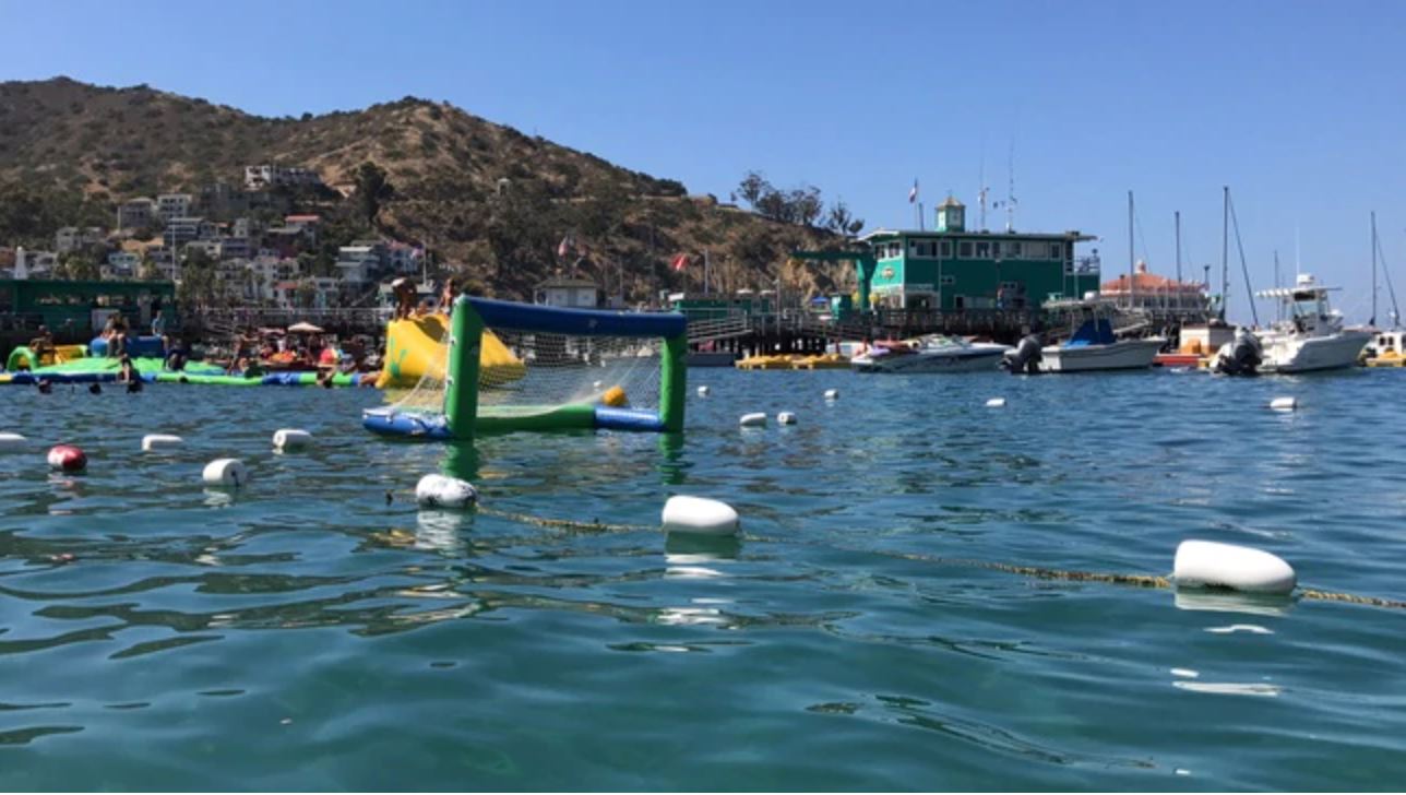 Olympians show you how to Improve your water polo game!