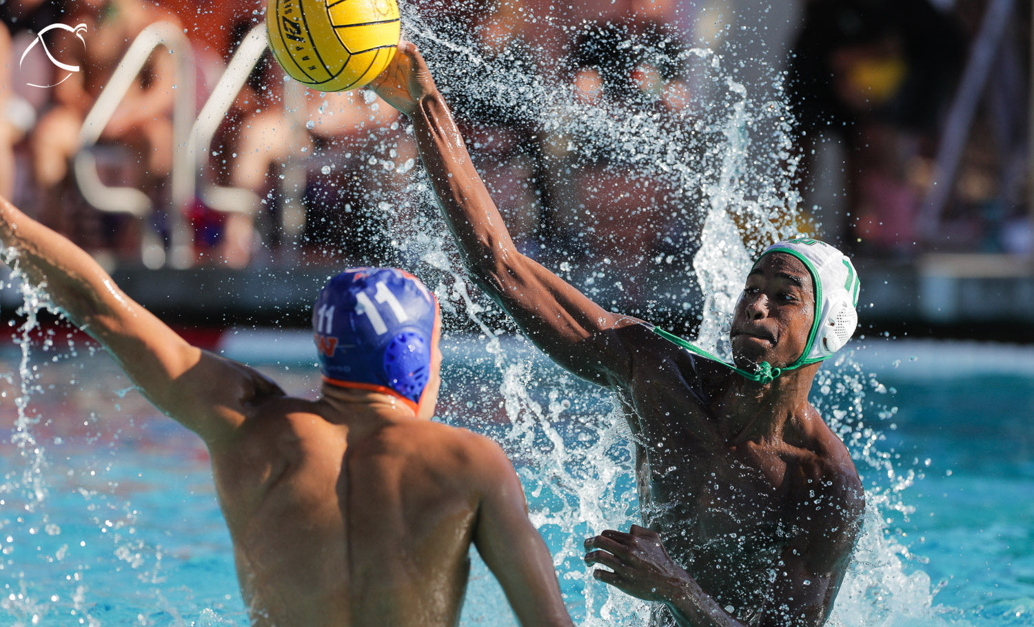 Workouts to improve leg strength for water polo