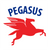 Pegasus WPA Team Store