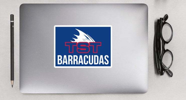 THE SWIM TEAM_Sticker