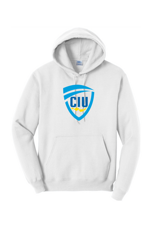 Channel Islands WPC Port & Company Core Fleece Pullover Hooded Sweatshirt
