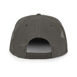 Dublin High School Team Store Mesh Back Snapback